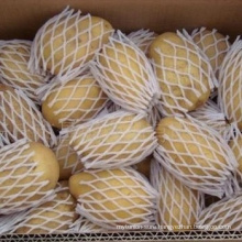 Good Crop Sell Russet Potato Carton Packing New Price Fresh Potato From China